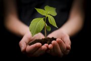 LifeNet - Associazione Onlus