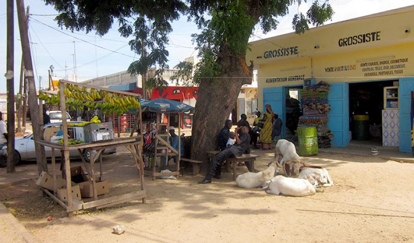 Altre foto dalla regione del Fatick in Senegal-6